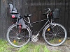 Lapislazulifalke, 28'-zoll, Herren Trekking Bike, Tourenrad, aufrechte Sitzposition, Diamant*  Rahmen